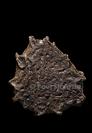 Momordica cochinchinensis (gac)