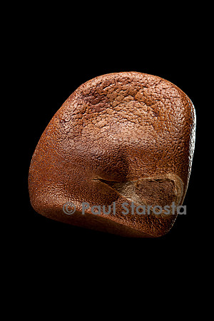 Carapa procera (crabwood d'Afrique)