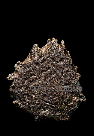 Momordica cochinchinensis (gac)