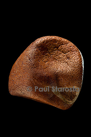 Carapa procera (crabwood d'Afrique)